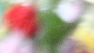 En 2021 eran 3.5 millones de inmigrante vivían en el condado de Los Ángeles, y de ellos, el 18% eran naturalizados estadounidenses; el 9% eran residentes legales y 8% indocumentados