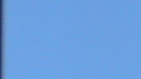 Unos mil trabajadores protestan afuera de las instalaciones de Disneyland en Anaheim.