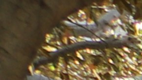 Trabajadores de hoteles piden salario olímpico.