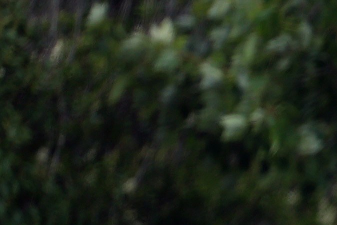 Jennifer Lopez en los hampton con su anillo de matrimonio