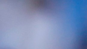 Monterrey, Nuevo León, 23 de octubre de 2021. Javier Aguirre Director Técnico de Rayados de Monterrey, durante el partido de la jornada 15 del torneo Grita México Apertura 2021 de la Liga BBVA MX, entre Rayados del Monterrey y Rayos de Necaxa, celebrado en el estadio BBVA. Foto: Imago7/