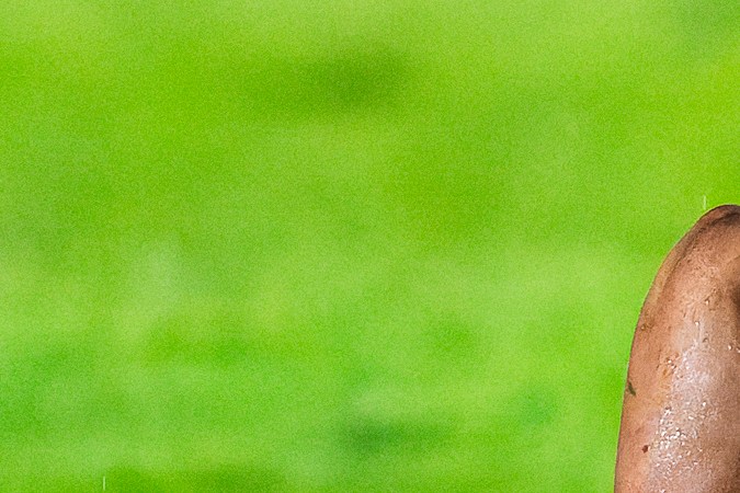 Ciudad de México, 29 de junio de 2024. Giorgos Giakoumakis resultó lesionado, durante un partido amistoso internacional por la Copa Fundadores 2024, entre la Máquina Celeste del Cruz Azul y el América de Cali, celebrado en el estadio Ciudad de los Deportes. Foto: Imago7/Diego Padilla