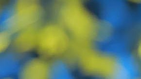 Henry Martín (al centro) celebra el nuevo título de las Águilas con sus compañeros.