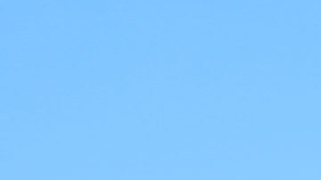 Carson, California, Estados Unidos, 30 de junio de 2024. André Jardiné, director técnico en festejo con su medalla de campeón, durante el partido por la Supercopa 2024 de la Liga BBVA MX, entre las Águilas del América y los Tigres de la UANL, celebrado en el Dignity Health Sports Park. Foto: Imago7/ Eloisa Sánchez