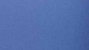 André Jardine, DT de América.