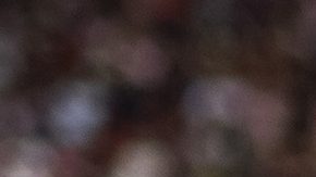 Juan Carlos Osorio tiene dos victorias en dos partidos.