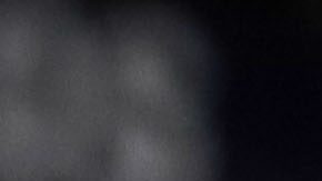 Guadalajara, Jalisco a 12 de Julio de 2024. Veljko Paunovic, Director Técnico, durante el partido correspondiente a la jornada 2 del torneo Apertura 2024 de la Liga BBVA MX, entre los rojinegros del Atlas y Tigres de la U.A.N.L. realizado en el estadio Jalisco. Foto: Imago7/ Oscar Meza