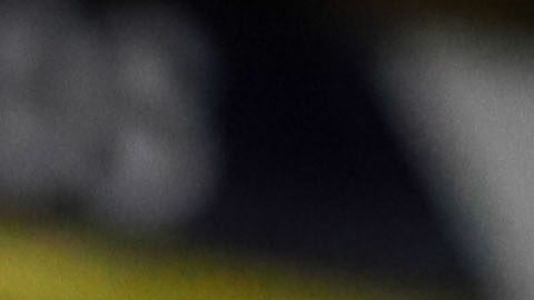 Guadalajara, Jalisco a 12 de Julio de 2024. Veljko Paunovic, Director Técnico, durante el partido correspondiente a la jornada 2 del torneo Apertura 2024 de la Liga BBVA MX, entre los rojinegros del Atlas y Tigres de la U.A.N.L. realizado en el estadio Jalisco. Foto: Imago7/ Oscar Meza