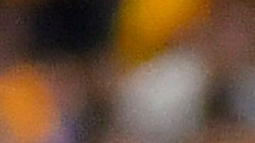 San Nicolás de los Garza, Nuevo León a 17 de Julio de 2024. , durante el partido correspondiente a la jornada 3 del torneo Clausura 2024 de la Liga BBVA MX, entre los Tigres de la UANL y las águilas del América, realizado en el Estadio Universitario. Foto: Imago7/ Juan Angel Ovalle