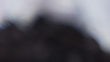 Fernando Gago es una de las opciones.