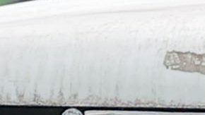 Leo Suárez sale del campo tras su lesión en el partido contra Pachuca.