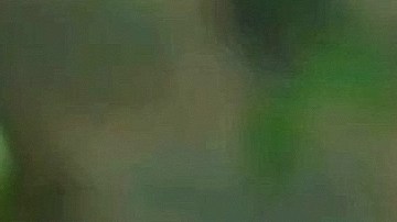 Irina Baeva es vinculada con destacado empresario mexicano