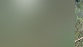 Ismael Zambada y Julio Scherer