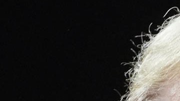 Donald Trump, expresidente estadounidense