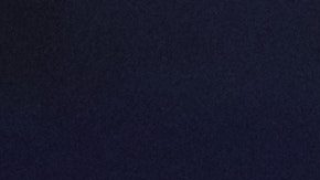 Julio César Chávez Jr.