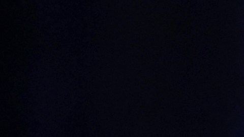 La vicepresidenta Kamala Harris participó en un mitin de campaña en Indianapolis.
