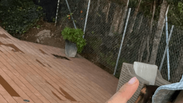 Colombia avanza a cuartos de final y se viraliza la canción "El ritmo que nos une" de Ryan Castro