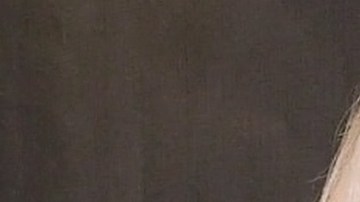 ¿Alfredo Adame y Laura Bozzo se enfrentarán en 'La Casa de los Famosos All-Stars'?