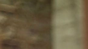 Lili Estefan Irina Baeva