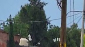 Linchamiento en México