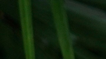 Todas las celebridades que esperan un bebé en 2024