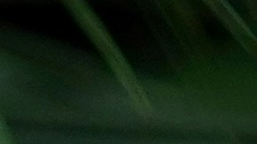 Margot Robbie lució su barriga de embarazo en Wimbledon