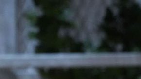 Michelle Obama, exprimera dama de la nación