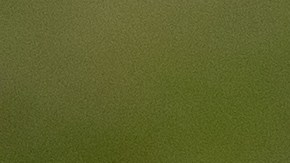 Miembros Plus Sam's Club