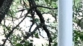 Aumentan las muertes relacionadas con el calor en la zonas de Texas afectadas por Beryl