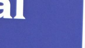 Myrka Dellanos boda Luis Miguel