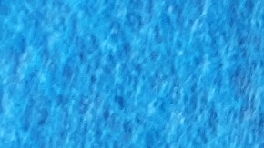 Pago Seguro Social 1 de agosto