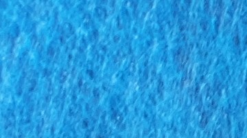 Pago Seguro Social 1 de agosto