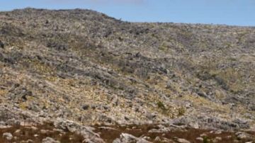 Porsche Macan 2024 así es su rendimiento