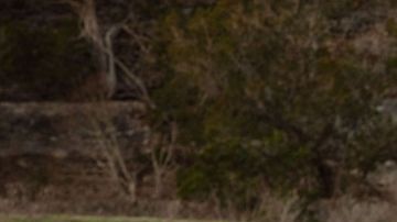 RAM 1500 Tungsten 2025 características, motor, interior y prueba de manejo