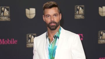 El cantante puertorriqueño Ricky Martin demostró que no le importa el qué dirán al publicar una candente selfie frente al espejo.