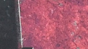 Blake Lively Ryan Reynolds hijo