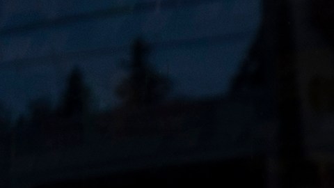CalFresh: día confirmado para recibir tu pago de agosto