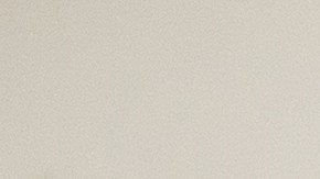 Seguro de Discapacidad del Seguro Social