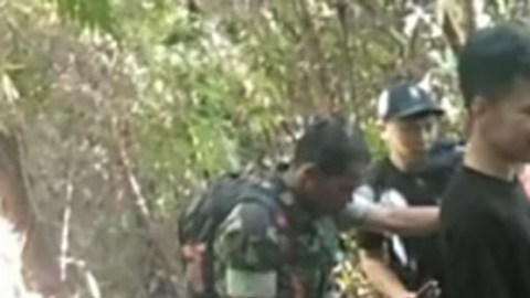 Serpiente devora a mujer en Indonesia