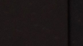 Sobrepagos de cupones SNAP