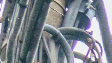 La marca Supreme será vendida a un fabricante italiano