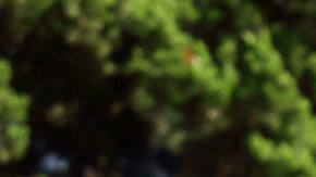 In this photo taken Nov. 3, 2016, video game voice actors picket outside Warner Bros. Studios in Burbank, Calif. The voice actors have agreed to end a nearly yearlong strike against several major gaming publishers. Their union, SAG-AFTRA, and a representative for the publishers said Monday, Sept. 25, 2017, that they reached a tentative agreement to end the strike on Saturday, Sept. 23. (AP Photo/Anthony McCartney)