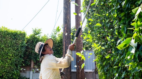 Milton López recorta un jardín en Los Ángeles.