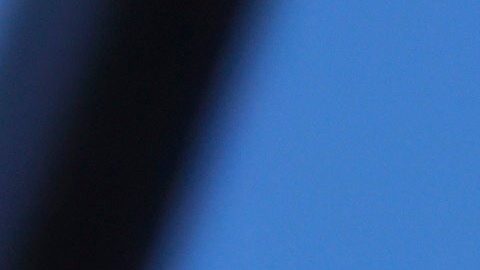 El expresidente Donald Trump resultó lesionado por un disparo durante un mitin político en Pensilvania.