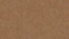 Victoria Ruffo foto Tessa