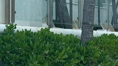 Violencia en Cancún