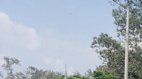 Violencia en Jalisco