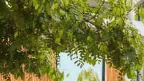 Volkswagen Virtus 2025, innovación y elegancia