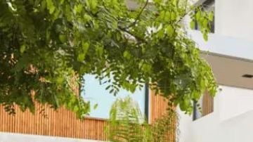 Volkswagen Virtus 2025, innovación y elegancia