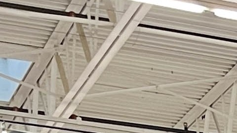 cuánto aumentaron los precios de Walmart este año